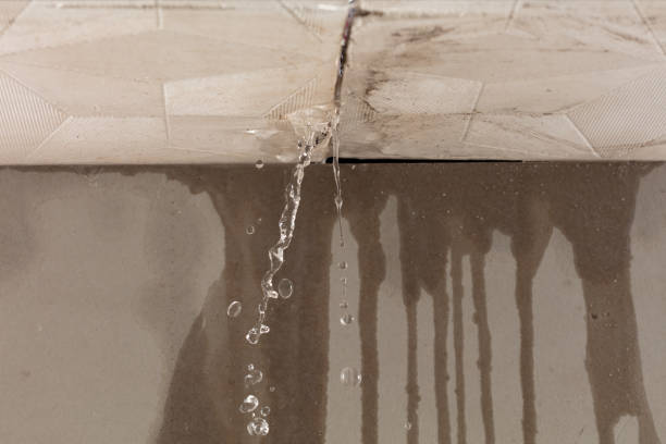 Professional Structural Drying technician working in Feasterville Trevose, PA